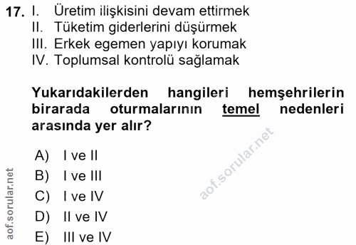 Soru 17