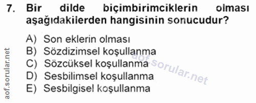Soru 7