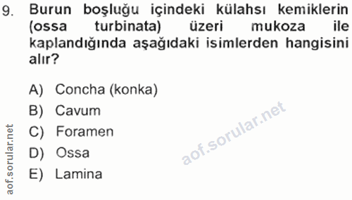 Soru 9