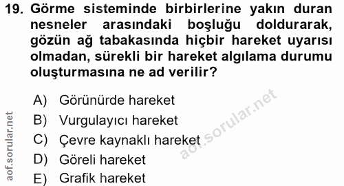 Soru 19