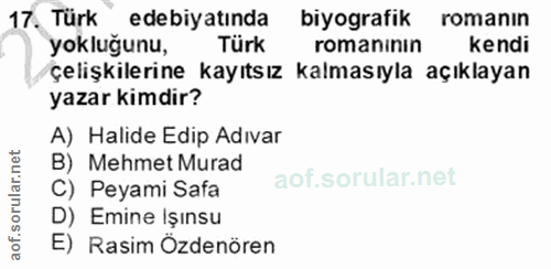 Soru 17