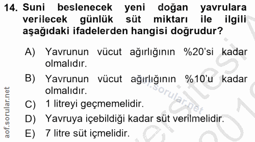 Soru 14