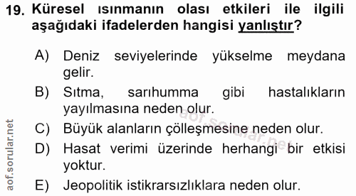 Soru 19