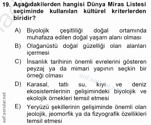 Soru 19