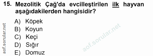 Soru 15