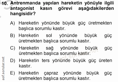 Soru 10