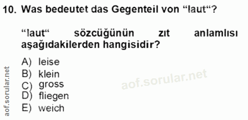 Soru 10