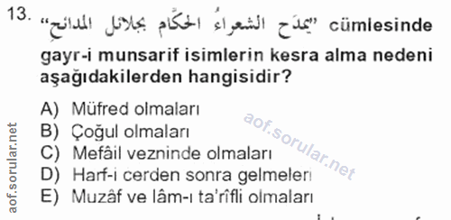 Soru 13