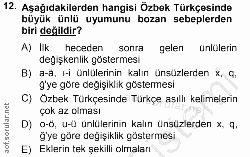 Soru 12