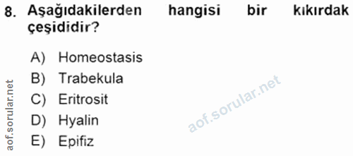Soru 8
