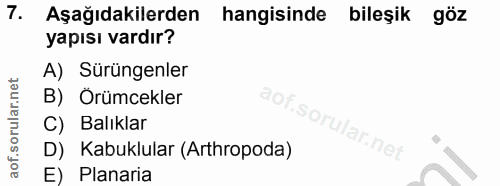 Soru 7
