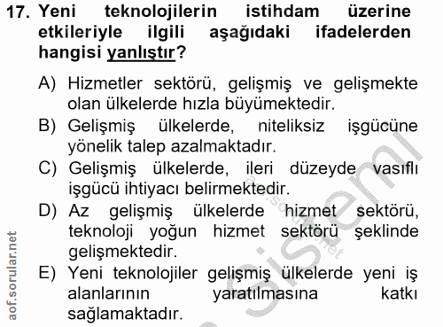 Soru 17