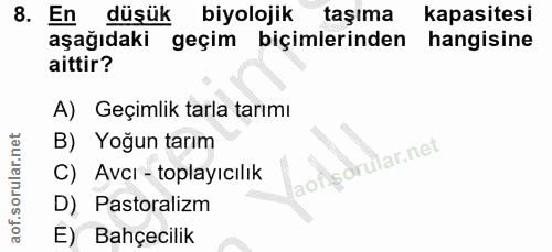 Soru 8