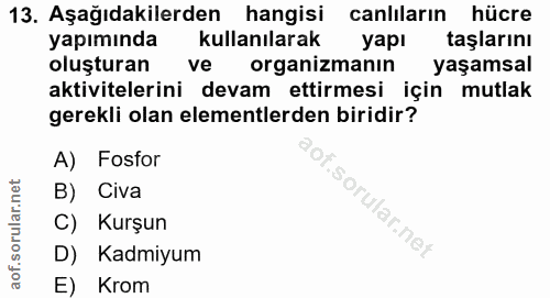 Soru 13