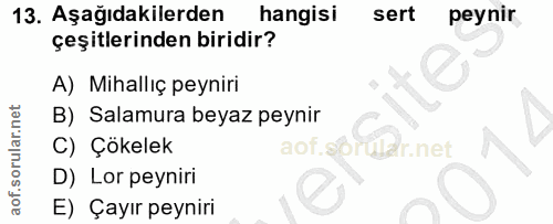 Soru 13
