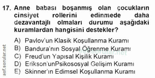 Soru 17