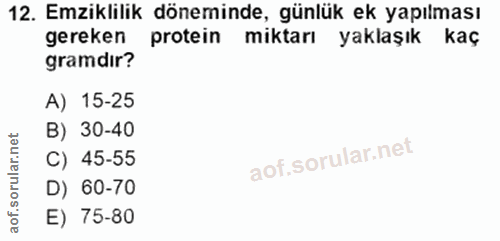Soru 12