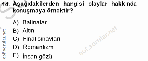 Soru 14