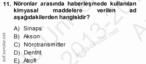 Soru 11