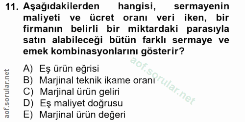 Soru 11
