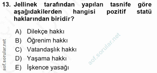 Soru 13
