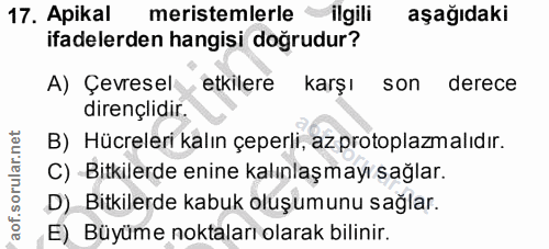 Soru 17