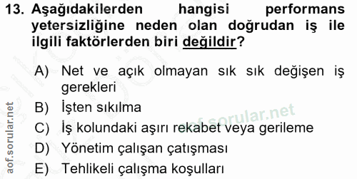 Soru 13