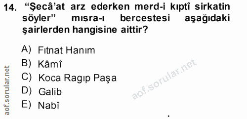Soru 14