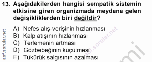 Soru 13
