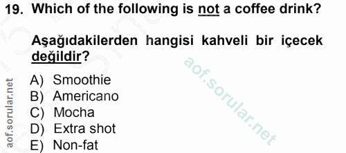 Soru 19