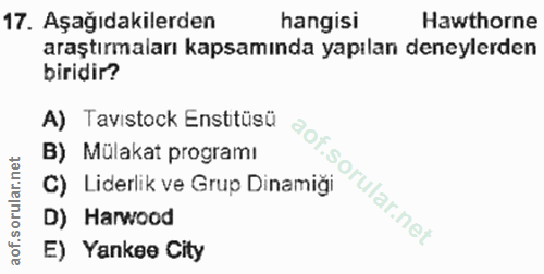 Soru 17