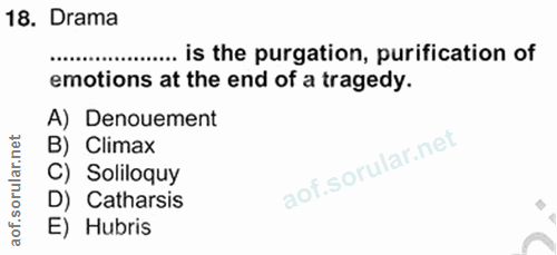 Soru 18
