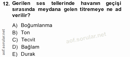 Soru 12