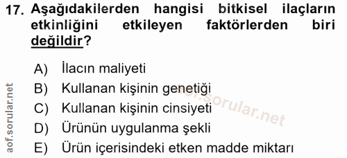 Soru 17