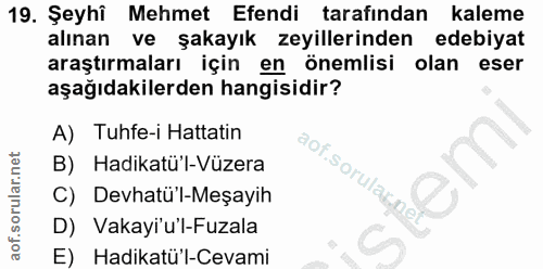 Soru 19