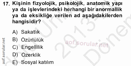 Soru 17