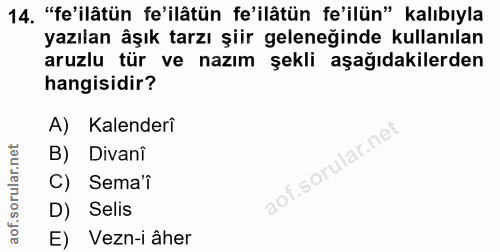 Soru 14