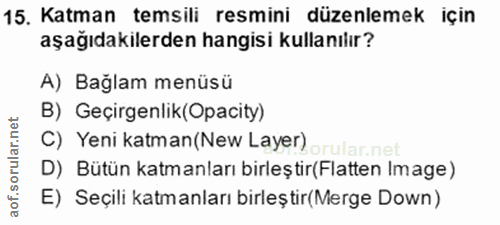 Soru 15