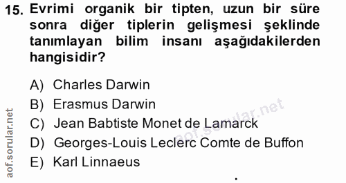 Soru 15