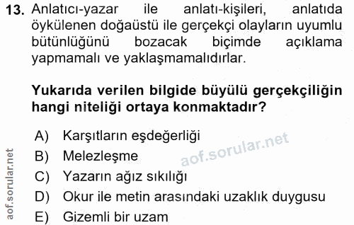 Soru 13