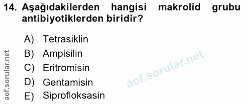 Soru 14