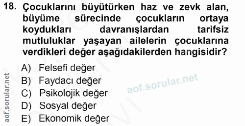 Soru 18