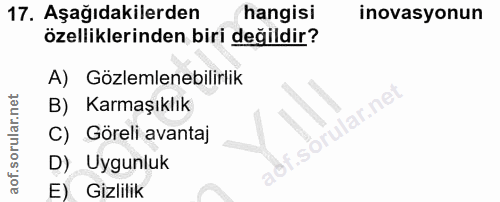 Soru 17