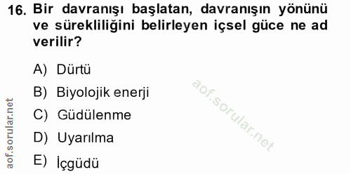 Soru 16