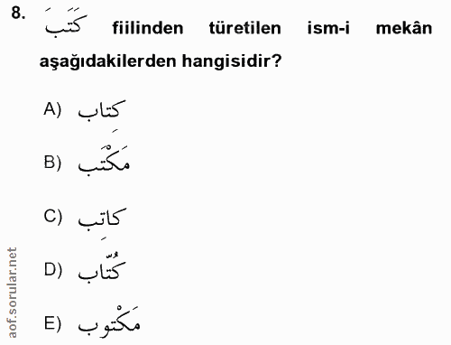 Soru 8
