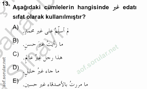 Soru 13