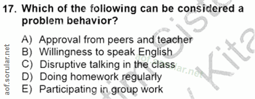 Soru 17