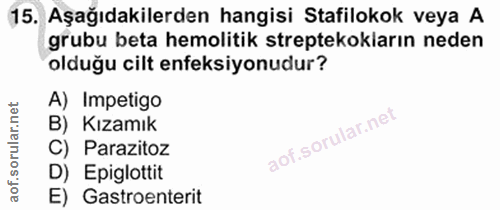 Soru 15