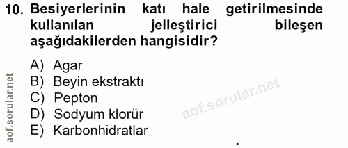 Soru 10