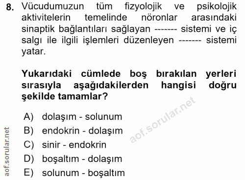 Soru 8
